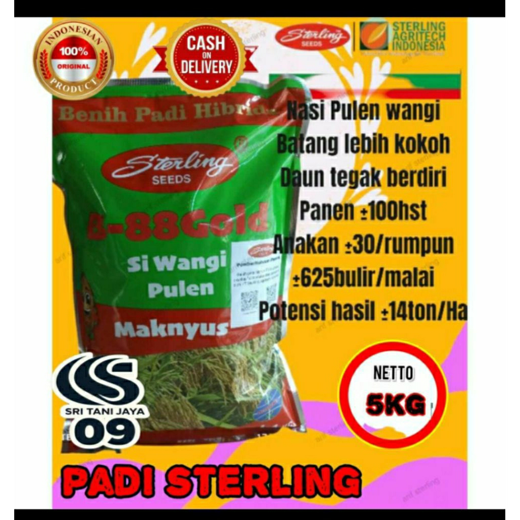 BENIH PADI STERLING 5 KG