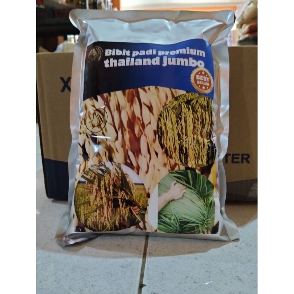 bibit padi unggul terbaru THAILAND JUMBO kemasan 1kg