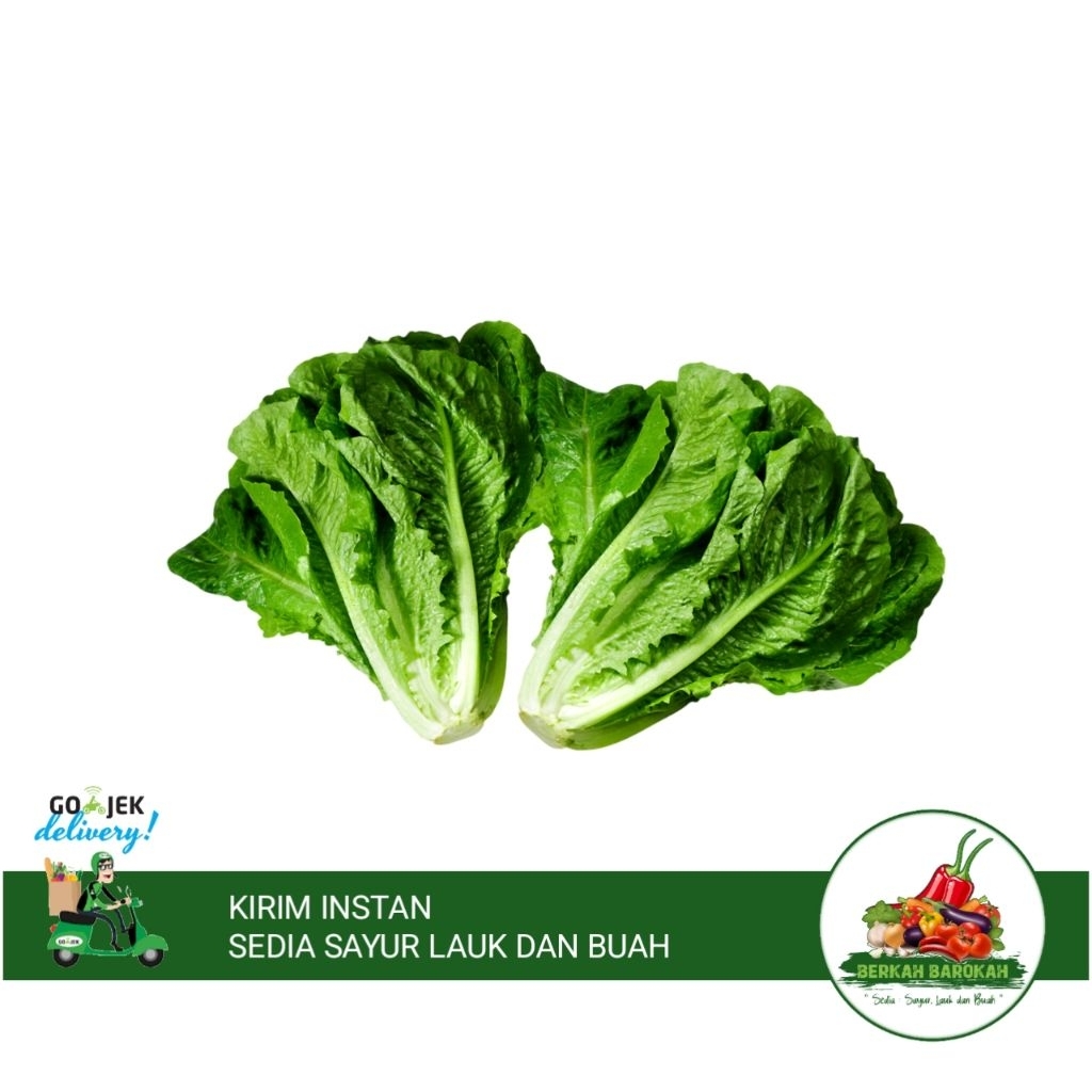 Sayur romaine / selada romaine / romaine lettuce 500 gram