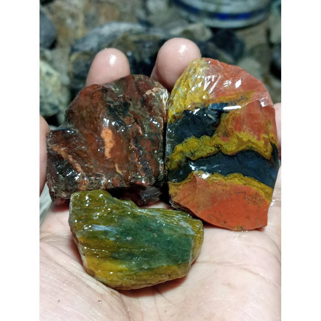 pancawarna Garut edong