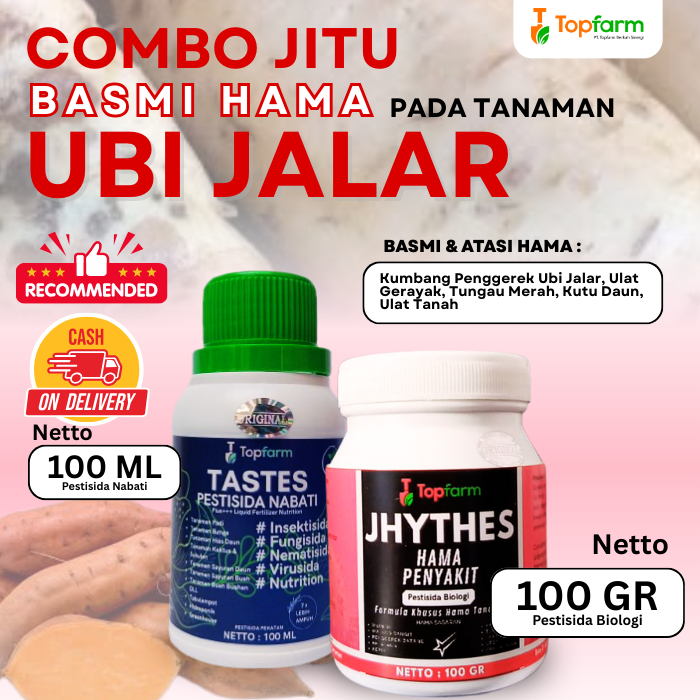 Insektisida Tanaman Ubi Jalar / Obat Semprot Ubi Jalar  / Insektisida Pembasmi Hama Ubi Jalar / Obat