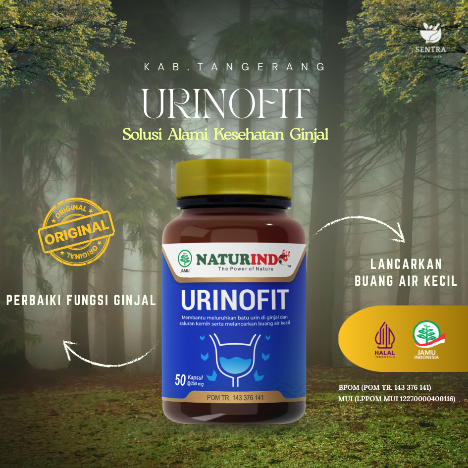 Obat Prostat Herbal Tanpa Operasi Infeksi Saluran Kemih Kanker Prostat Paling Ampuh Pembengkakan Pro