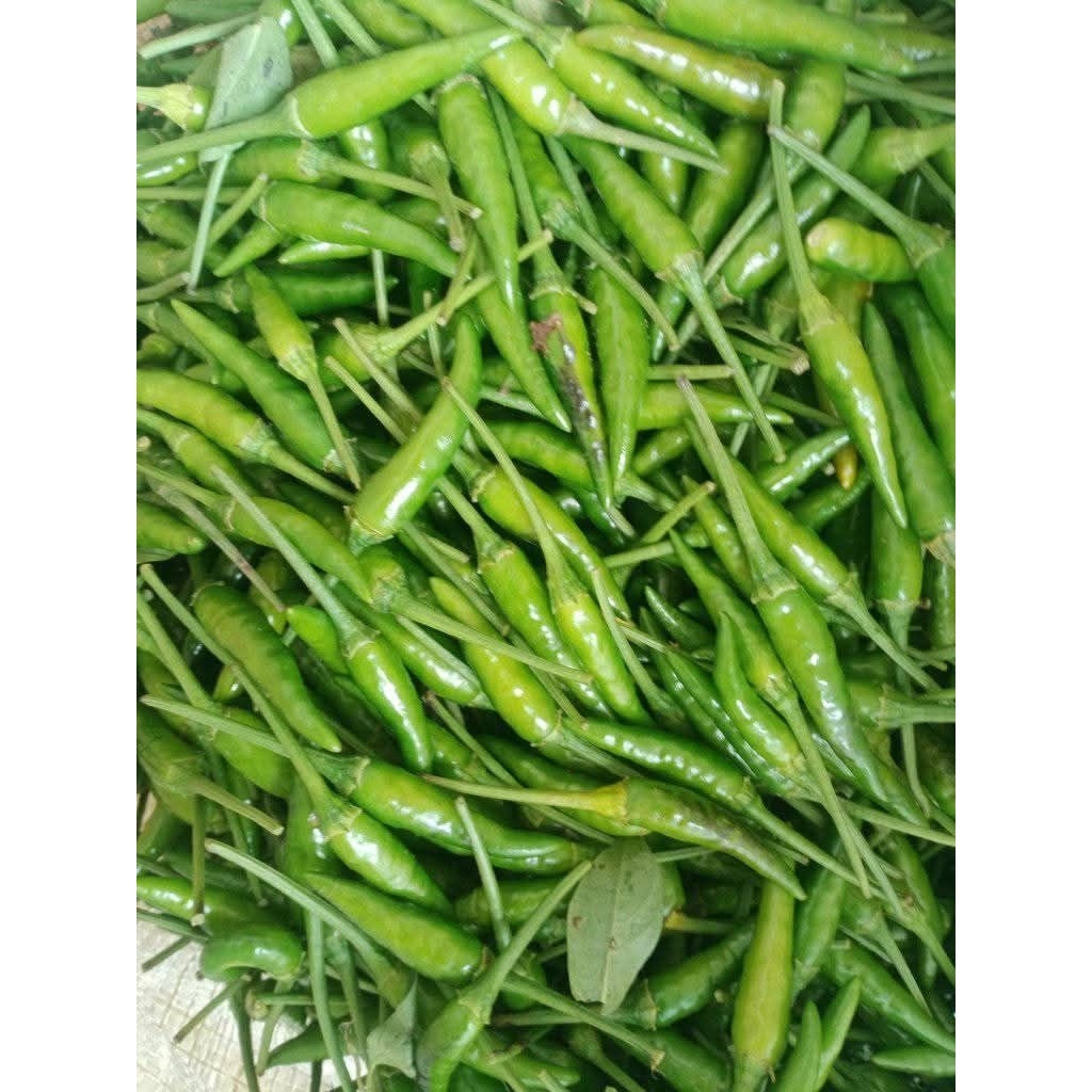 Cabe rawit hijau setan - cabe rawit hijau tw super