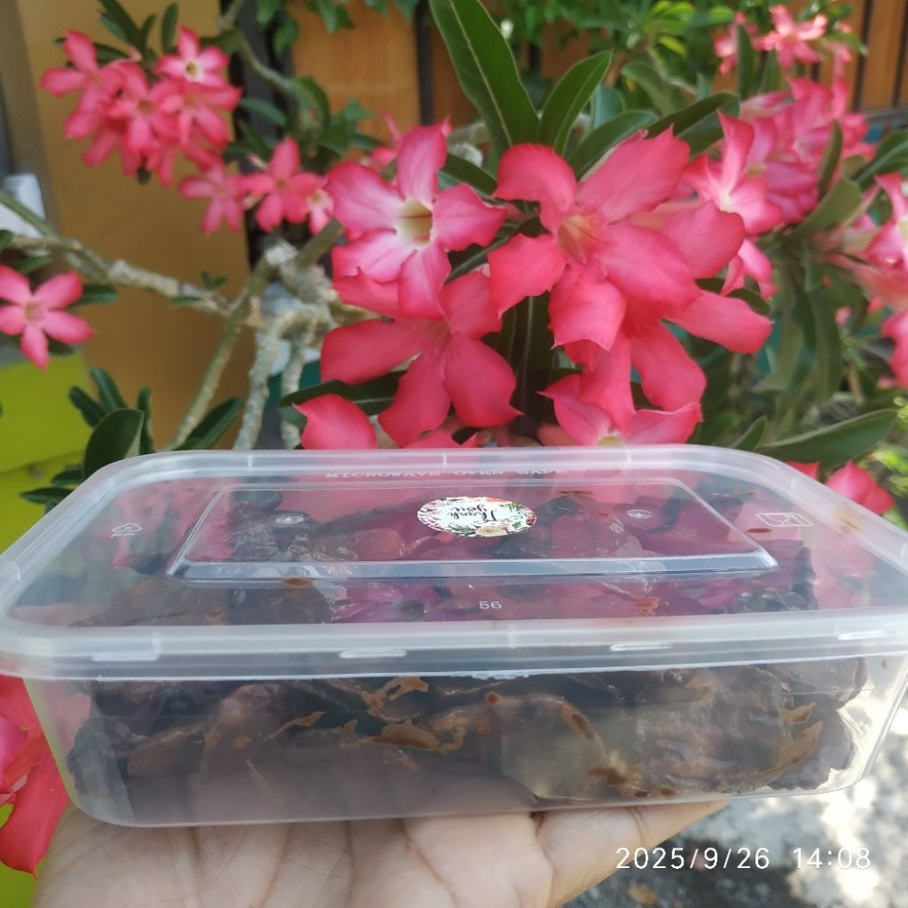 pisang coklat kemasan twinwall 500ml