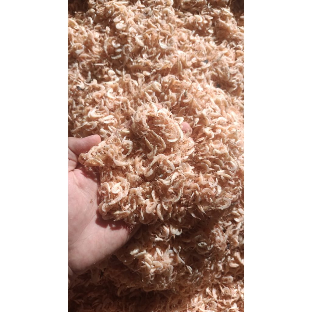 [COD] UDANG REBON ASIN HALUS/KECIL [ 1 KG ] [ 500 GR ] [ 250GR ] QUALITY SUPER BERSIH DAN HIGIENIS K