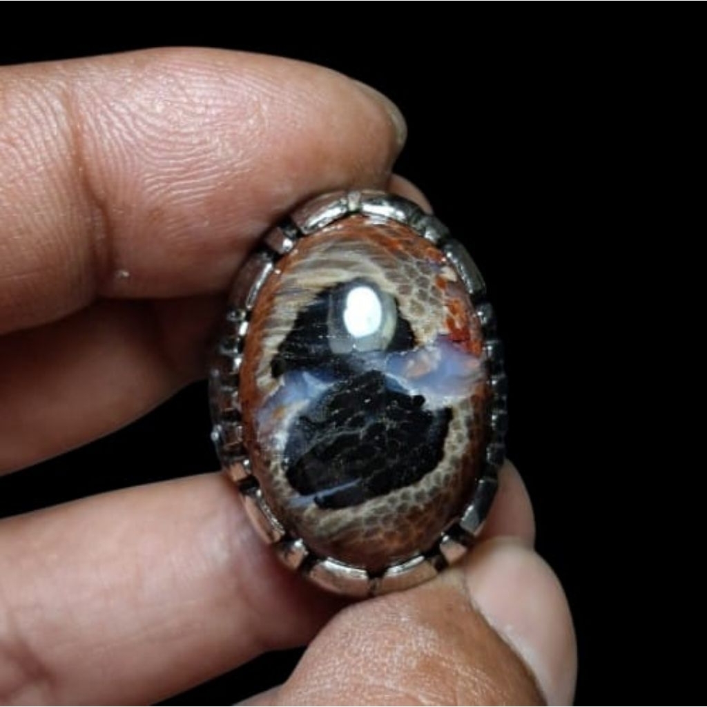 Batu akik fosil kelor