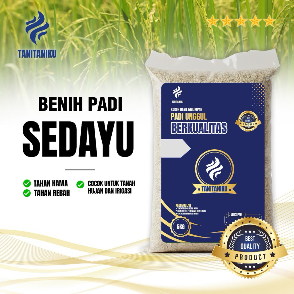 BENIH PADI BIBIT PADI UNGGUL SEDAYU SUPER BOBOT KUALITAS PREMIUM KEMASAN 5 KILO