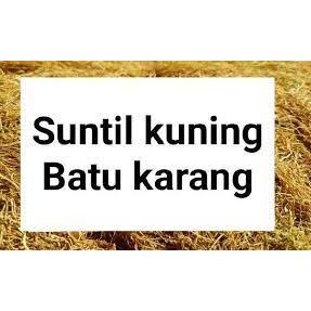 Kuning Untuk Makan Sirih Nginang Asli Medan  100g