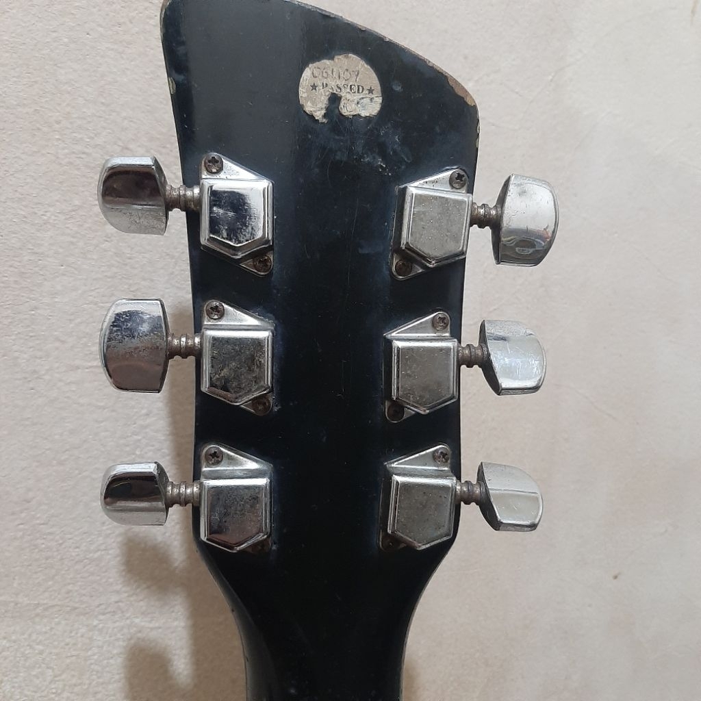 gitar brunswick w200 sd + fishman preamp