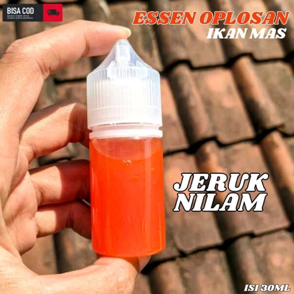 Essen ikan mas aroma jeruk nilam cocok buat harian kilogebrus rame essen ikan mas paling bagus semua