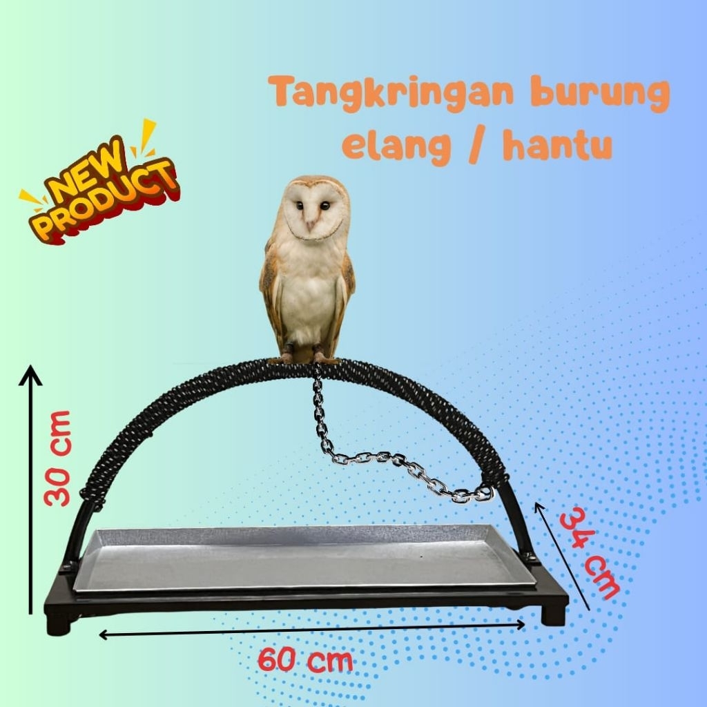 tangkringan burung elang/burung hantu
