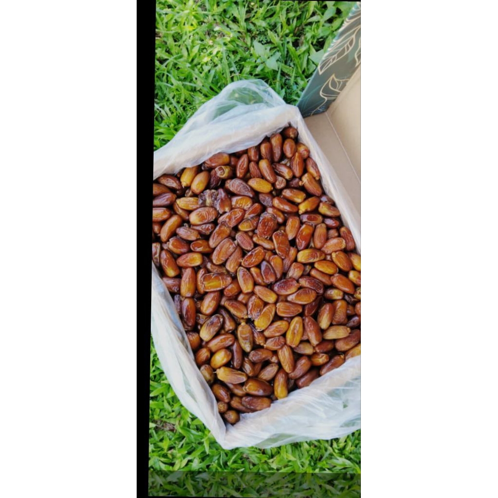 Kurma Tunisia 5kg Asli 100% Original