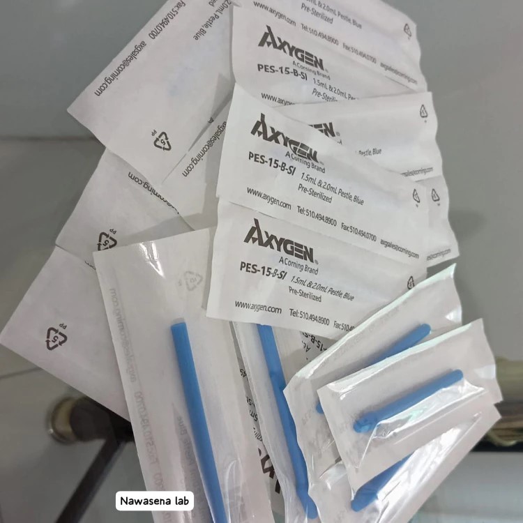 Tissue Grinder Plastik Pestle Sterile AXYGEN