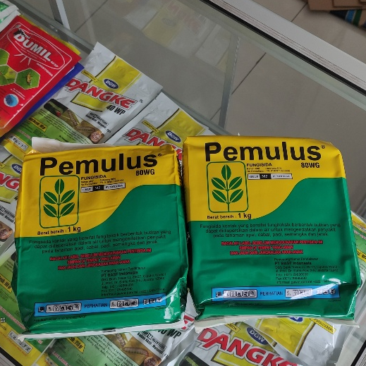 Pemulus 1KG Fungisida