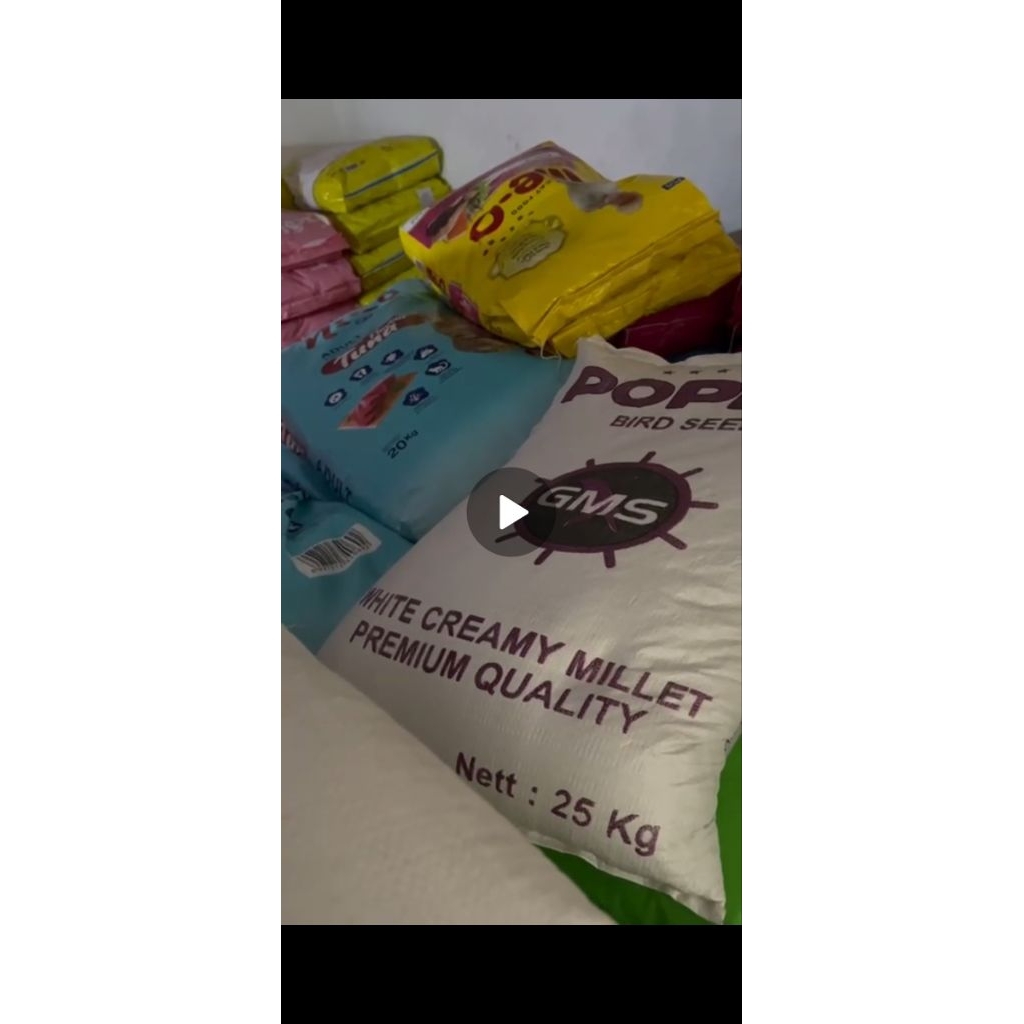 ready milet putih / milet kuning / canary seed kemasan 1 sak 25kg