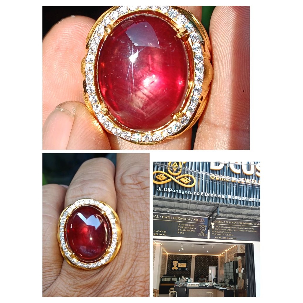 Ruby madagaskar pigieon windusara