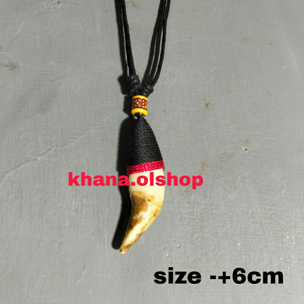 Kalung Etnik Bandul Taring Macan Ukuran Sedang -+ 6Cm