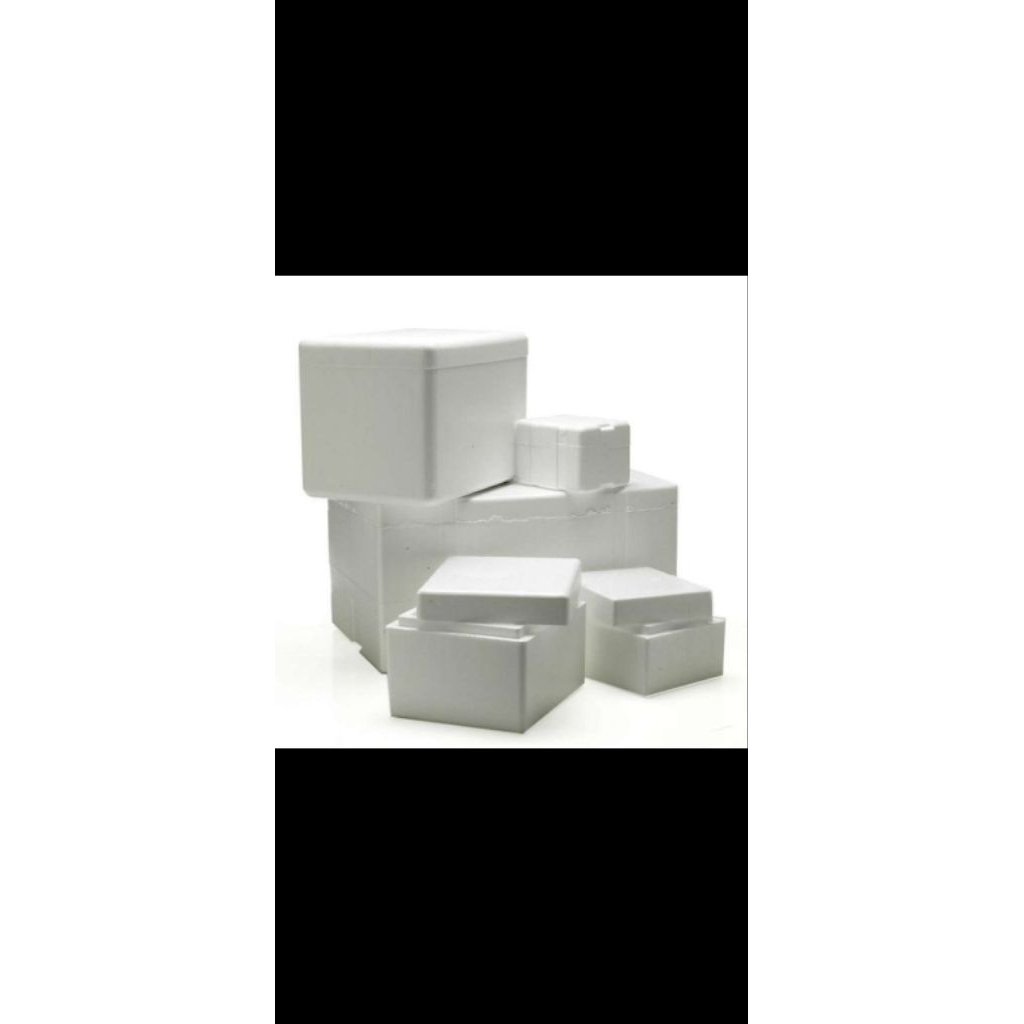 sterofoam box ikan salmon