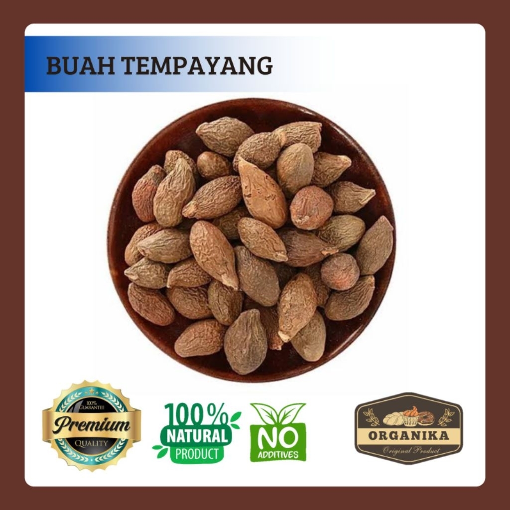 Buah Tempayang 100gr - 25gr / Biji Kembang Semangkuk