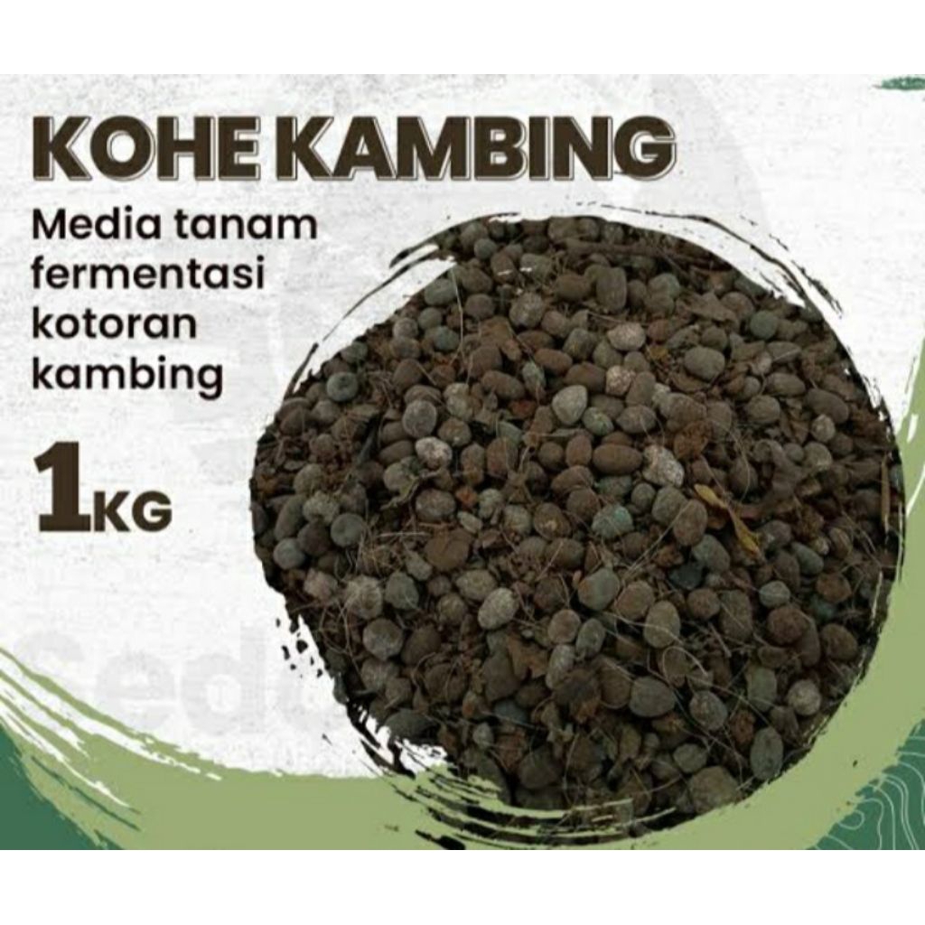 Kohe kambing original 1kg
