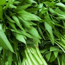 Kangkung Sayur Lidi Segar Per Ikat Besar | Sayuran ID Padang