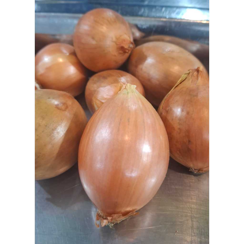 Bawang Bombay New zealand 1kg