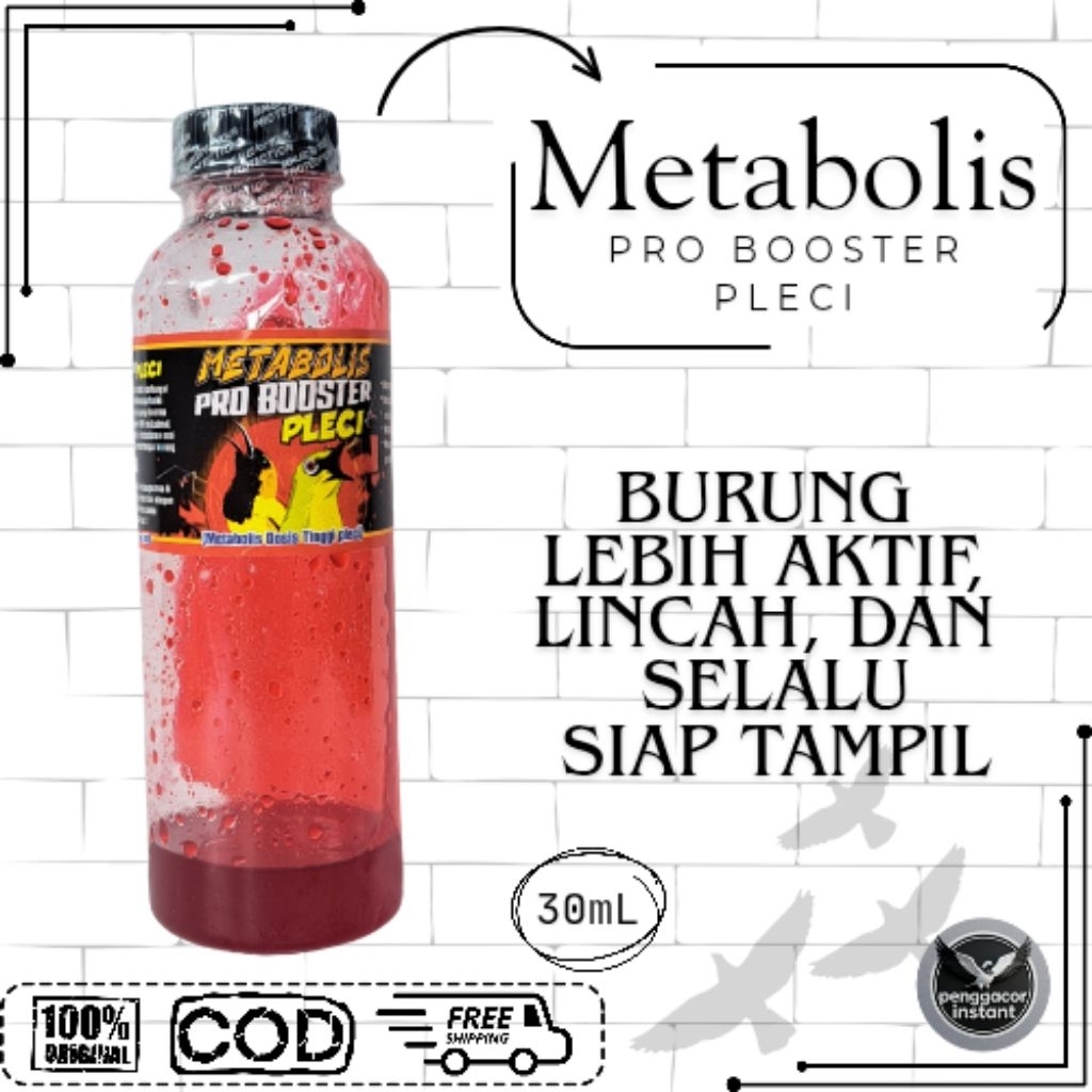 Pro Booster Pleci Juara Metabolis Dosis Tinggi pleci Vitamin Burung Pleci