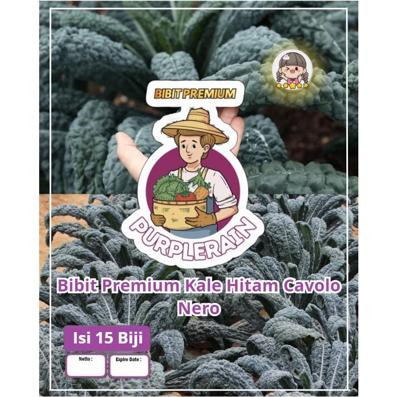 Bibit Premium Kale Hitam Cavolo Nero | Biji Benih Kale Cavolo Nero | Kale Hitam