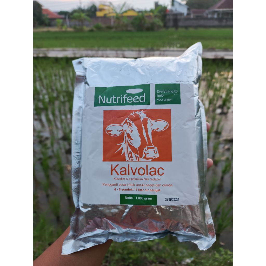 susu kalvolac 1kg original-susu pengganti hewan ternak