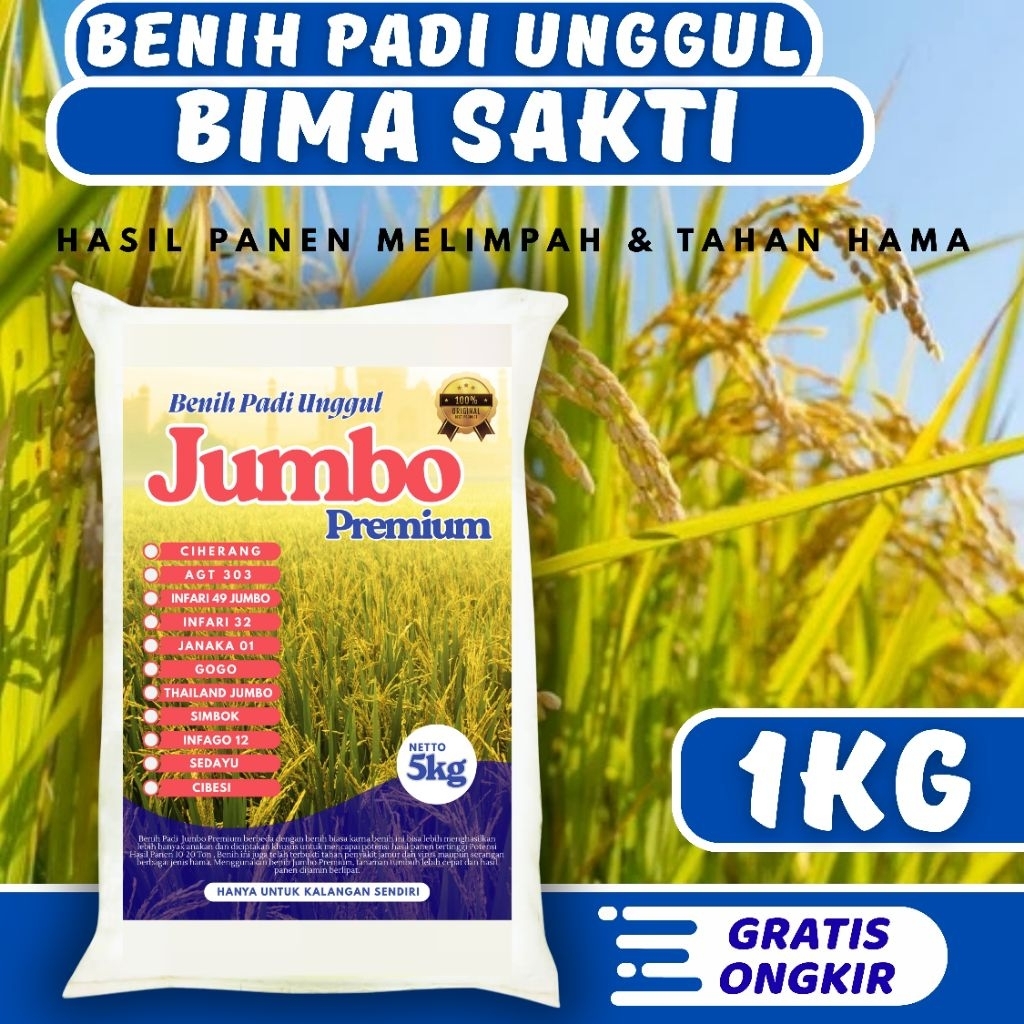 Bibit Padi Unggul Bima Sakti 1kg