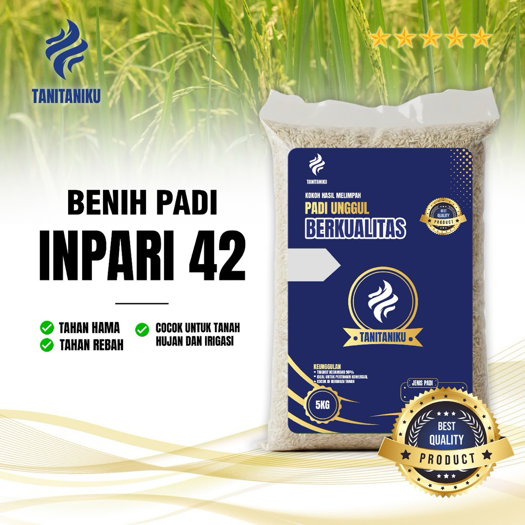 BENIH PADI BIBIT PADI UNGGUL BERKUALITAS  PREMIUM INPARI 42  KEMASAN 5 KG