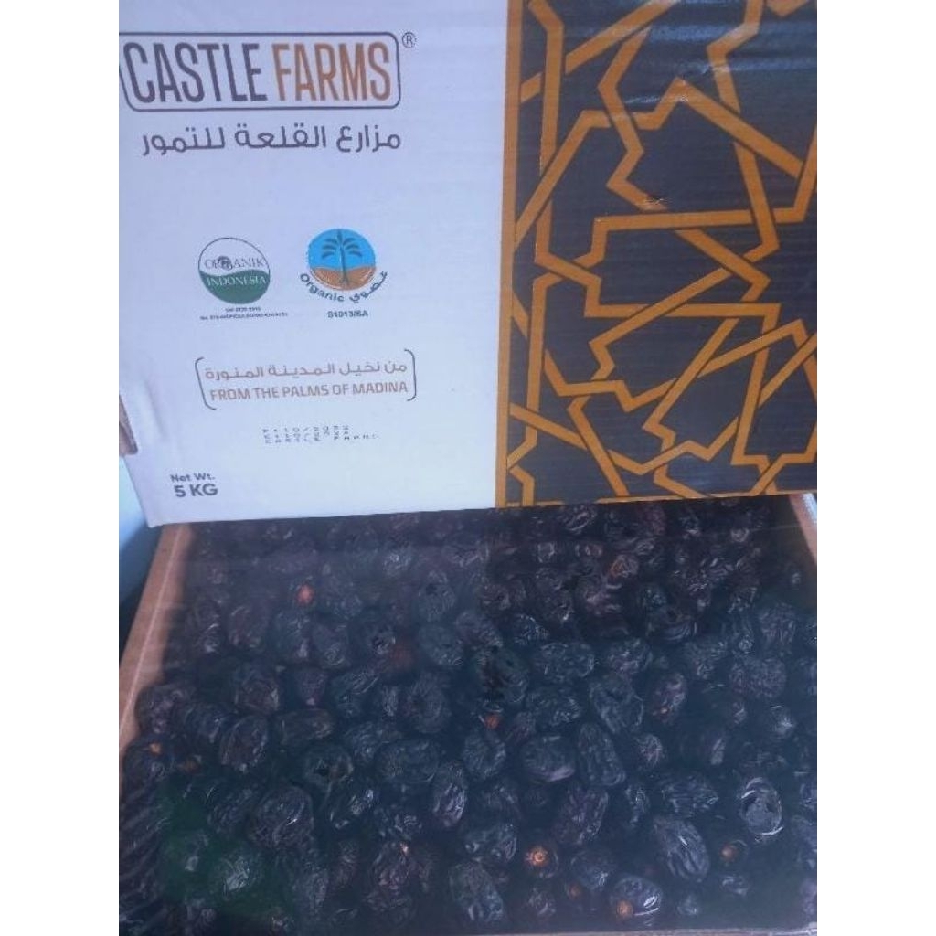 Kurma Ajwa Madinah Castle Farm 5Kg Organik Kemtan RI