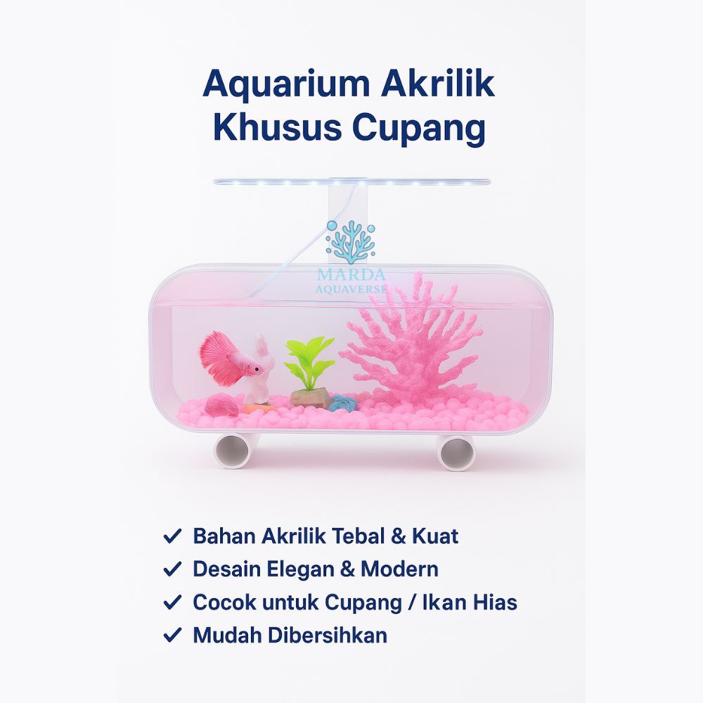 Aquarium Akrilik Khusus Cupang Fullset Karang | Aquarium Hias Elegan Minimalis