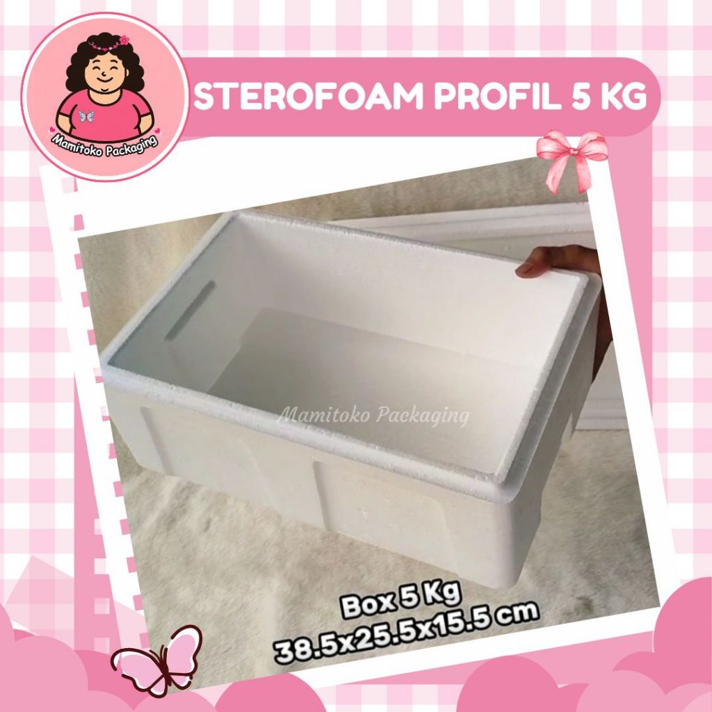 Kotak Sterofoam Profil 5 Kg Box Ikan Daging Buah Beku Cooler Box Styrofoam Packing Makanan