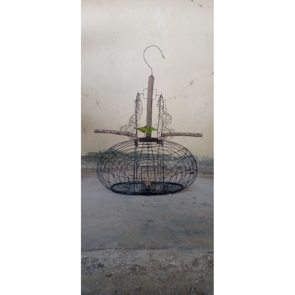 sangkar jebak semua burung (perkutut, kicau dll)