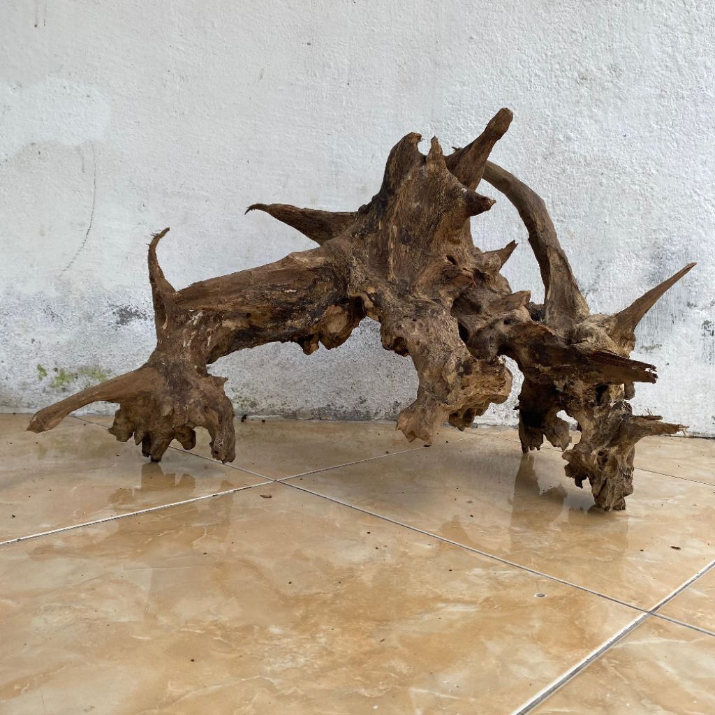 Kayu rentek BESAR ukuran 75CM bentuk ISTIMEWAH alami hiasan akuarium aquascape