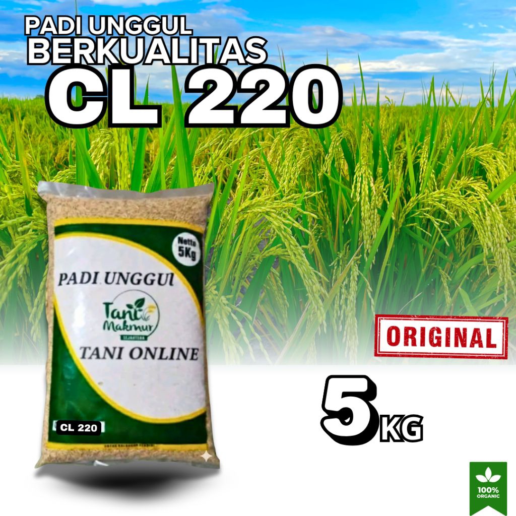 BENIH PADI UNGGUL CL 220 KEMASAN 5KG