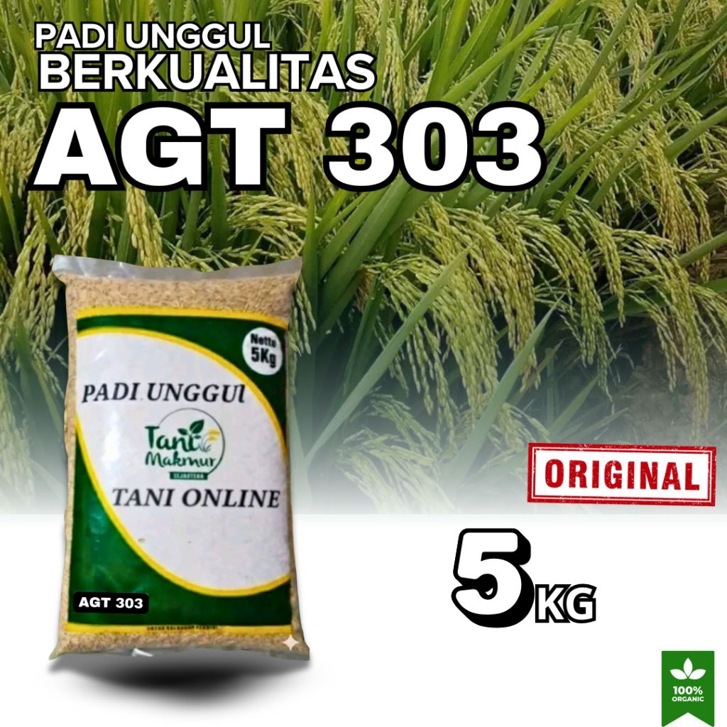 BENIH PADI AGT 303 ORIGINAL KEMASAN 5KG