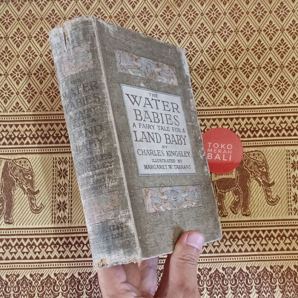 Buku The Water Babies edisi 1908 by Charles Kingsley ilustrasi Margaret Tarrant