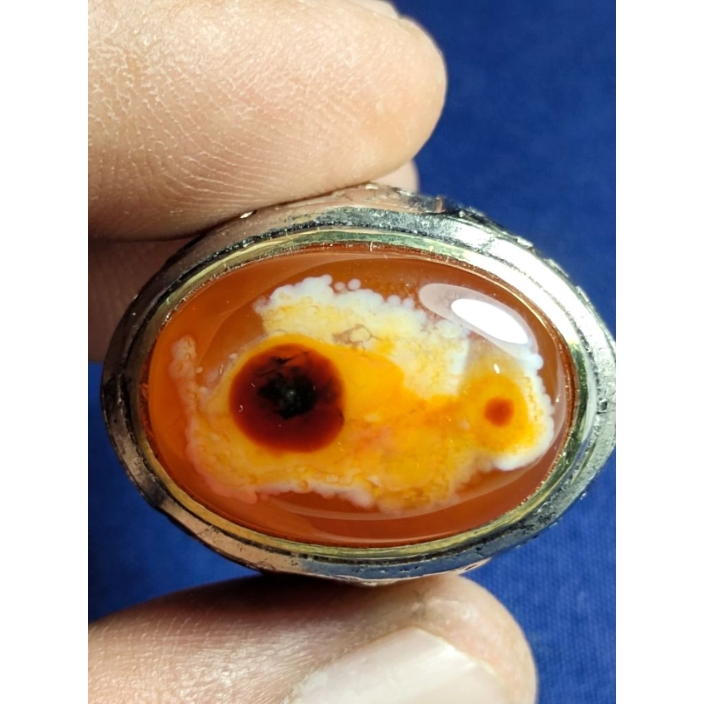 Natural Karang Nunggal Stone, Big Eye Fish / Batu Karang Nunggal, Ikan Mata Besar