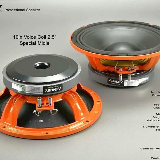 Speaker ASHLEY 10inch Spesial middle mf 1025 ORI