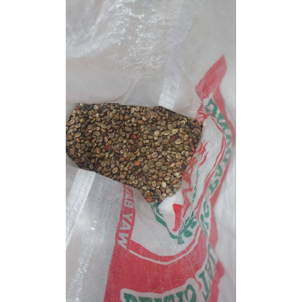 Biji Kopi Robusta Asalan | Green Bean | Lampung