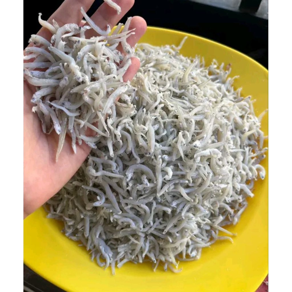 ikan teri nasi Medan 1Kg