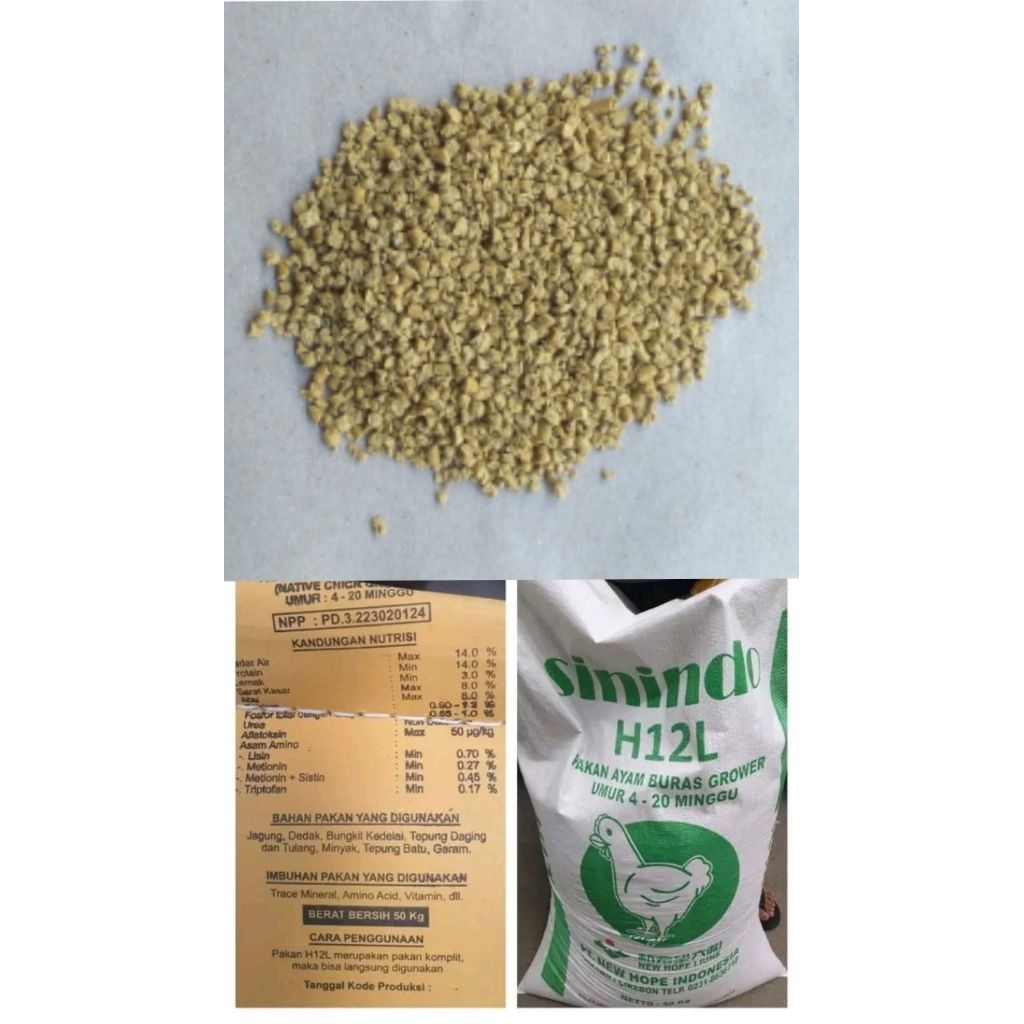 Pakan Ayam Buras Sinindo H12L