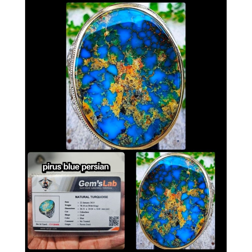 pirus blue persia jumbo asli urat emas iran