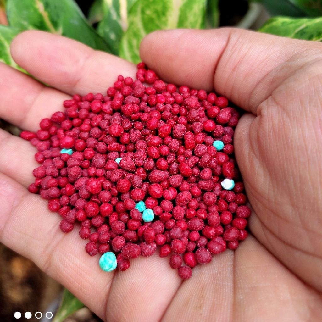 PUPUK OSMOCOTE MERAH SLOW RELEASE 50 GR