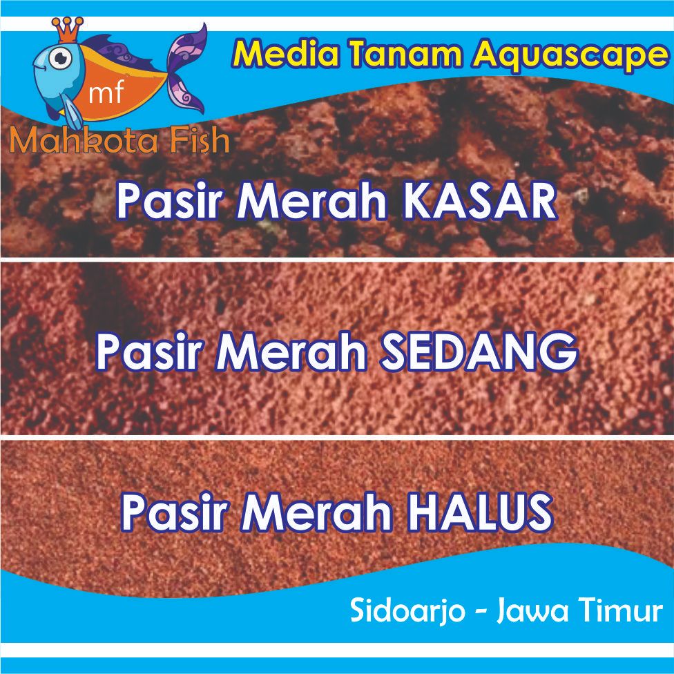 Pasir Malang Merah 250 gram | Pasir Merah | Pasir Aquascape | Pasir Aquarium | Pasir Hias Malang