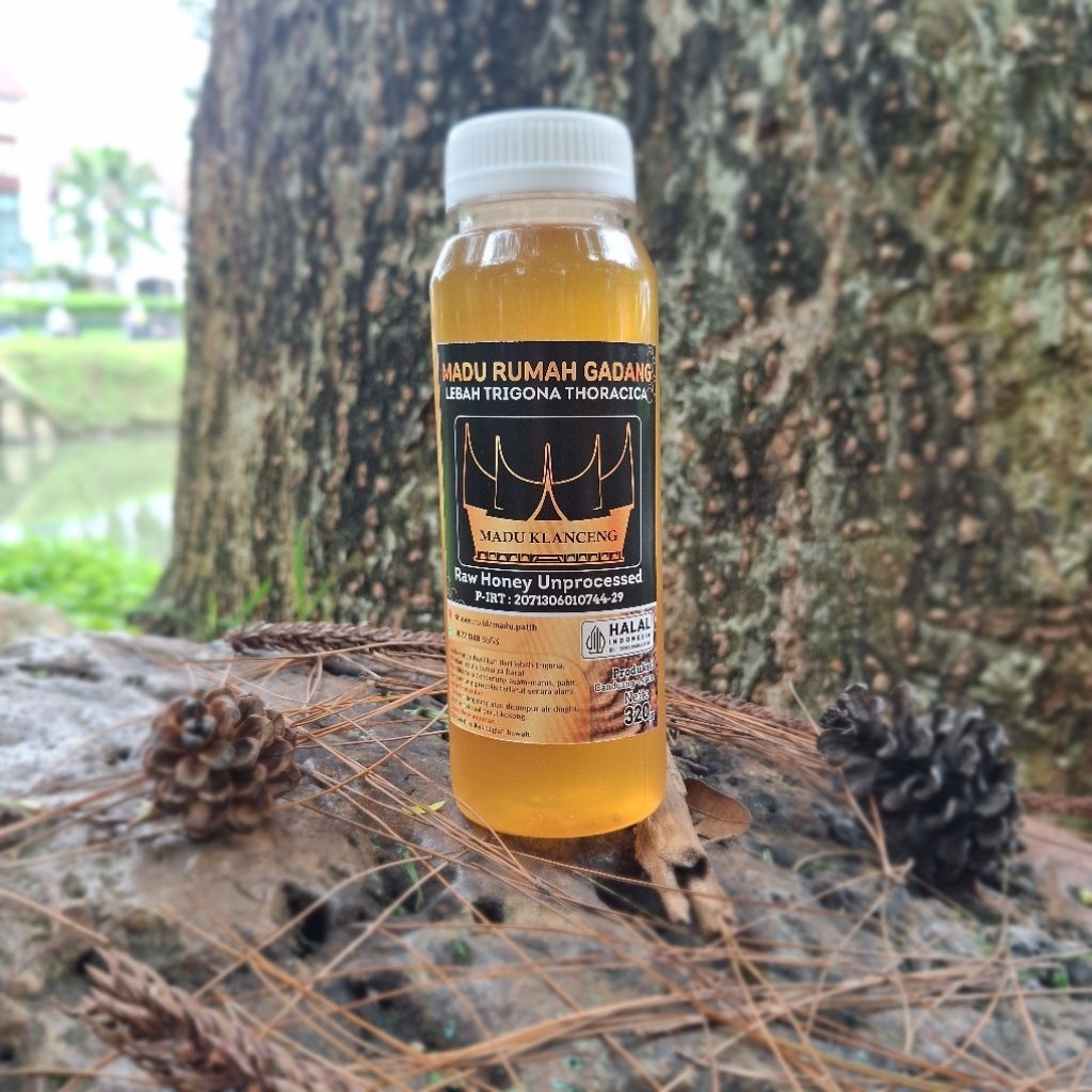 Madu Rumah Gadang - Madu Klanceng / Kelulut dari Lebah Trigona Itama dan Thoracica - Stingless Bee M