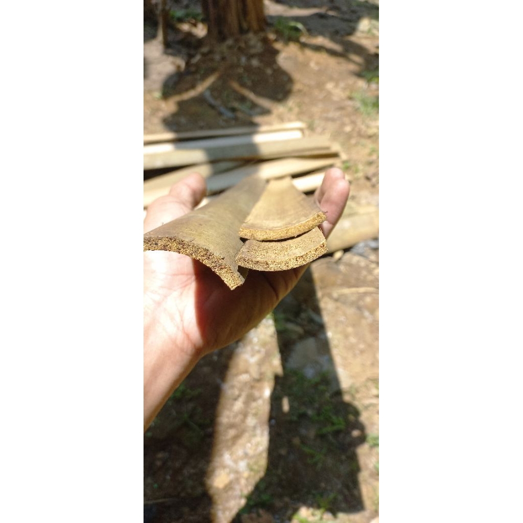 bambu buluh buat arku layang layang