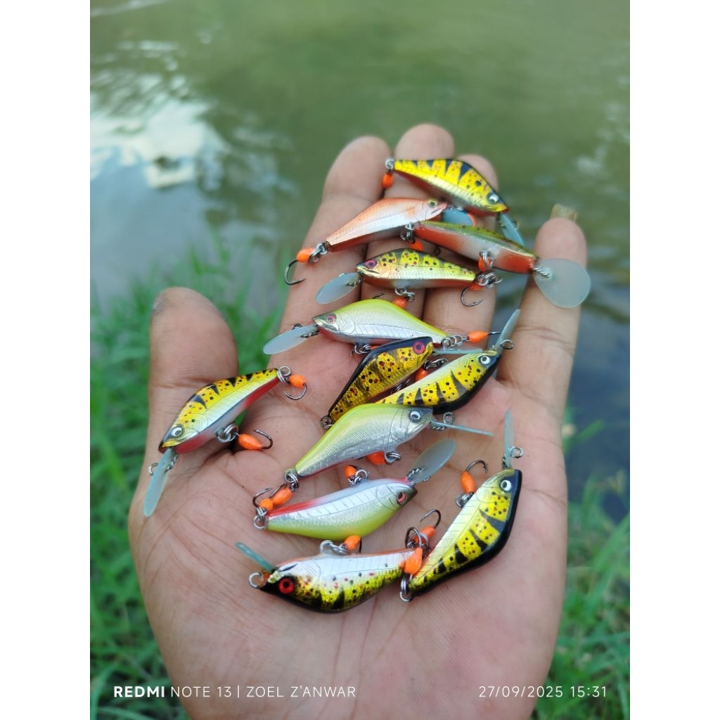 Minnow deep mahseer